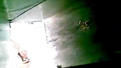 කුස්සියේ සින්ක් එක උඩින් බූස්ටි බ්‍රනූට් එකක් ඉන්නවා, කෙලවෙනවා